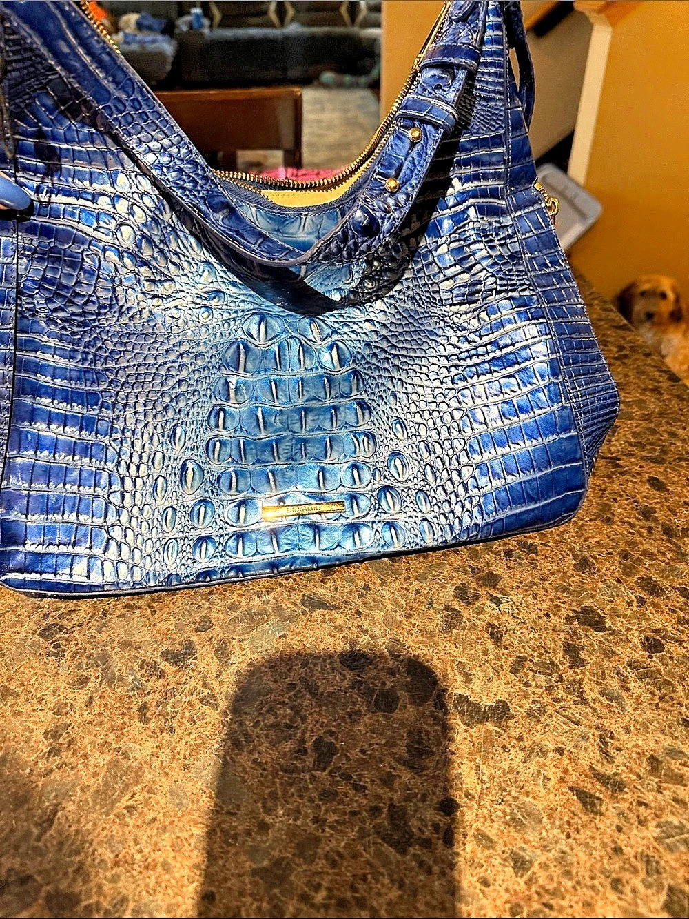 BRAHMIN Blue Crocodile-Embossed Hobo